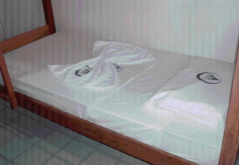 Manaira Hostel João Pessoa Eksteriør bilde